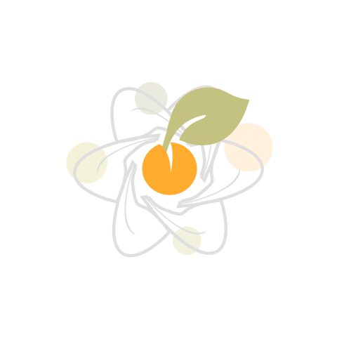 環保袋先生核心價值圖示